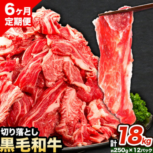 牛肉 肉 黒毛和牛 切り落とし 訳あり 大容量 小分け【定期便】 3kg 1パック 250g 6回 《お申込月の翌月より発送》岡山県産 岡山県 笠岡市 お肉 にく カレー 牛丼 切り落し 切落し