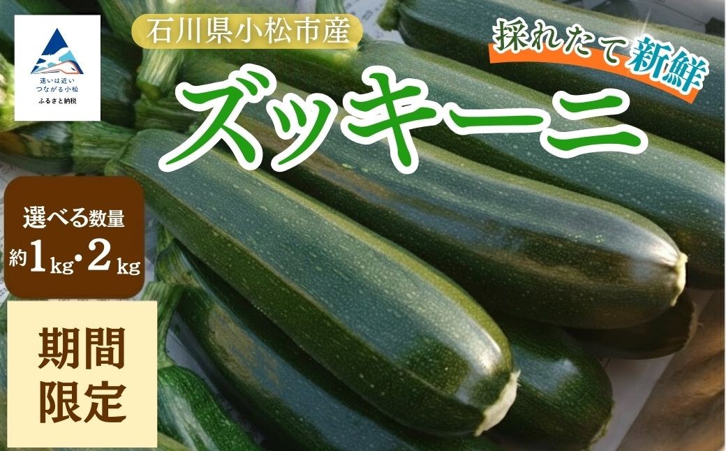 
                  ズッキーニ【選べる】 約1kg（5本前後）/ 約2kg（10本前後） ずっきーに 小松市産 | 石川県 小松市 JAあぐり
                