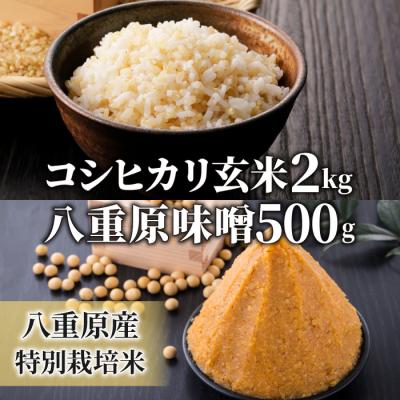 ふるさと納税 東御市 【太陽と大地】八重原産特別栽培米コシヒカリ(玄米)2kgと信州味噌「八重原味噌」500gのセット