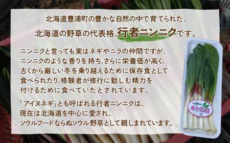 【令和8年2月上旬以降発送】行者ニンニク 50g×8パック　北海道 豊浦町産 アイヌネギ ヒトビロ キトビロ TYUK004