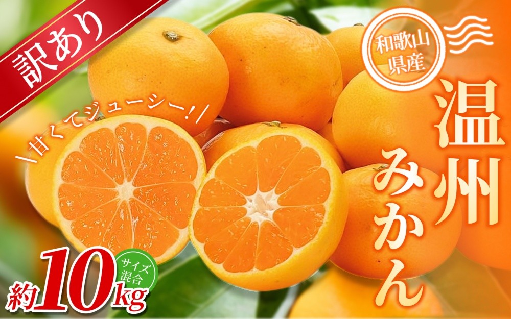 
            【訳あり】 森本農園の手選別 みかん 約10kg 和歌山県産 2S~2Lサイズ混合 【2025年11月上旬～2026年2月中旬ごろに順次発送】【RN10】
          