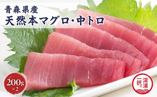 天然本マグロ 深浦マグロ 中トロ 計400g 冷凍柵 刺身 海鮮 鮪 まぐろ 青森県深浦町産