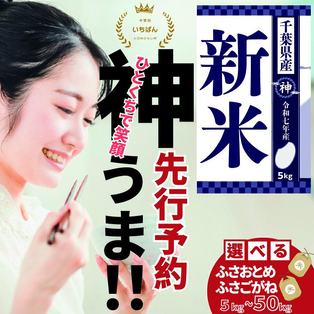 【ふるさと納税】《 先行予約・令和7年産 新米 》千葉県神崎町産 ふさおとめ ／ ふさこがね 5kg・10kg・20kg・30kg・40kg｜早場米産地の新米を食卓へ｜9月以降順次発送予定｜数量限定【精米 米 お米 白米 ご飯 白ごはん 弁当 5キロ 10キロ 20キロ 30キロ 40キロ 50キロ】