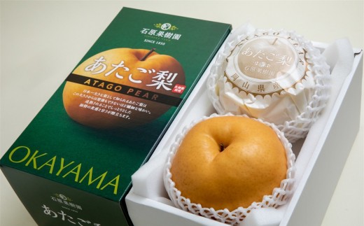 梨 2026年  あたご梨 2玉（約1.2kg玉）化粧贈答箱赤秀【ナシ なし 岡山県産 国産 フルーツ 果物 ギフト 石原果樹園】