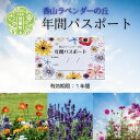 【ふるさと納税】年間パスポート1枚《香山ラベンダーの丘》ポピー ラベンダー コスモス ハーブ 年パス 観光 農園 A051-07