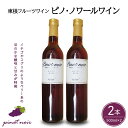 【ふるさと納税】 ワイン ピノ・ノワールワイン 500ml × 2本 セット / 赤ワイン 日本ワイン ワインセット 国産 ぶどう 赤 酒 お酒 洋酒 果実酒 アルコール 母の日 父の日 敬老の日 記念日 誕生日 ギフト プレゼント お取り寄せ 送料無料 山形県 東根市