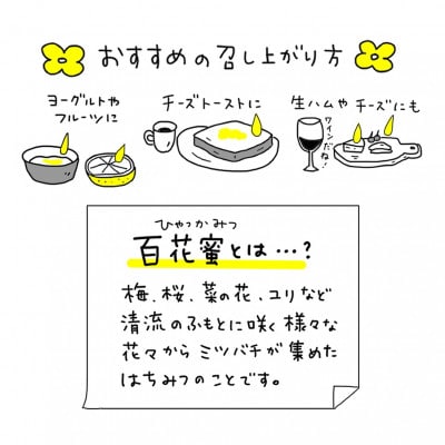 日本ミツバチ100%はちみつ【三滝堂ハニー】50g×3瓶【1368857】