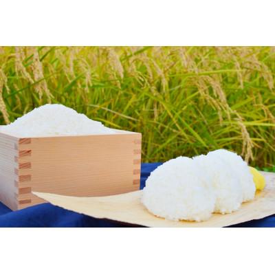 ふるさと納税 白馬村 【令和7年産】『白馬そだち』長野県白馬村産　お米　ミルキークイーン5kg(精米) |  | 01