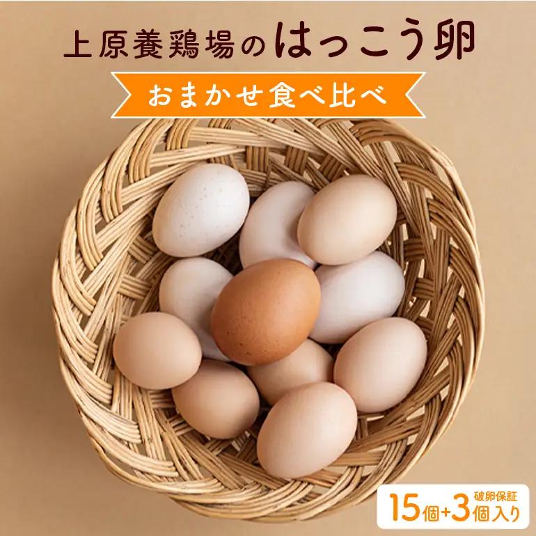 訳あり はっこう卵 3～4種 おまかせ 食べ比べ 15個 +破卵保障3個 卵 種類 サイズ お任せ 訳アリ 3種 4種 白卵 赤卵 青卵 烏骨鶏 有精卵 軍鶏 アローカナ たまご タマゴ 食比べ 生卵