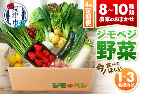 【定期便 全4回】ジモベジ 野菜 セット (a40-103)
