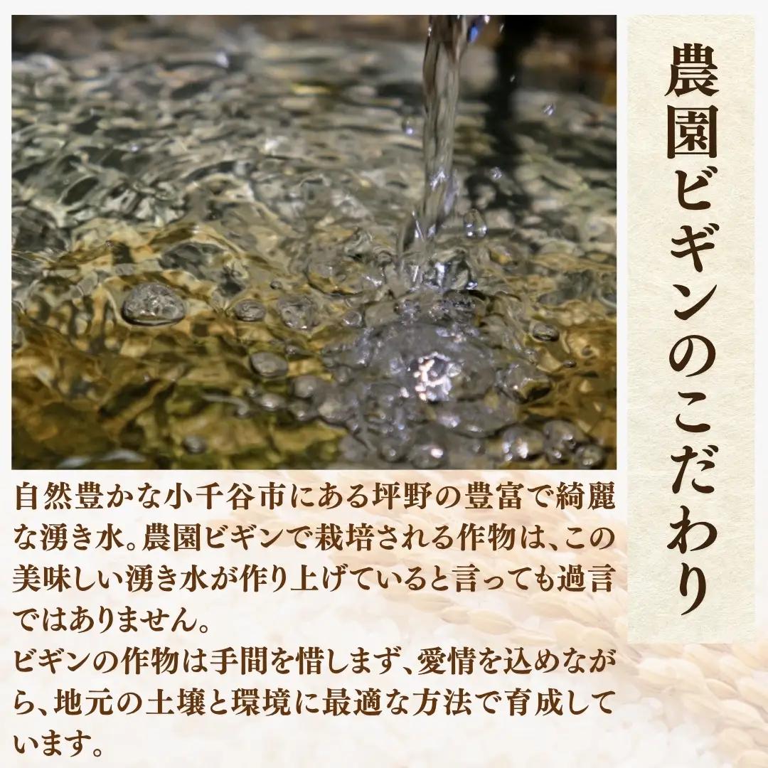 【令和8年産 先行予約】 昔ながらの魚沼産コシヒカリ 従来品種 定期便 20kg（5キロ×隔月全4回）農園ビギン | おこめ 特A評価 小千谷市 コシヒカリ