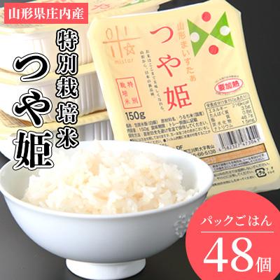 ふるさと納税 三川町 山形県 つや姫パックご飯48P(24P×2箱) HM1-011