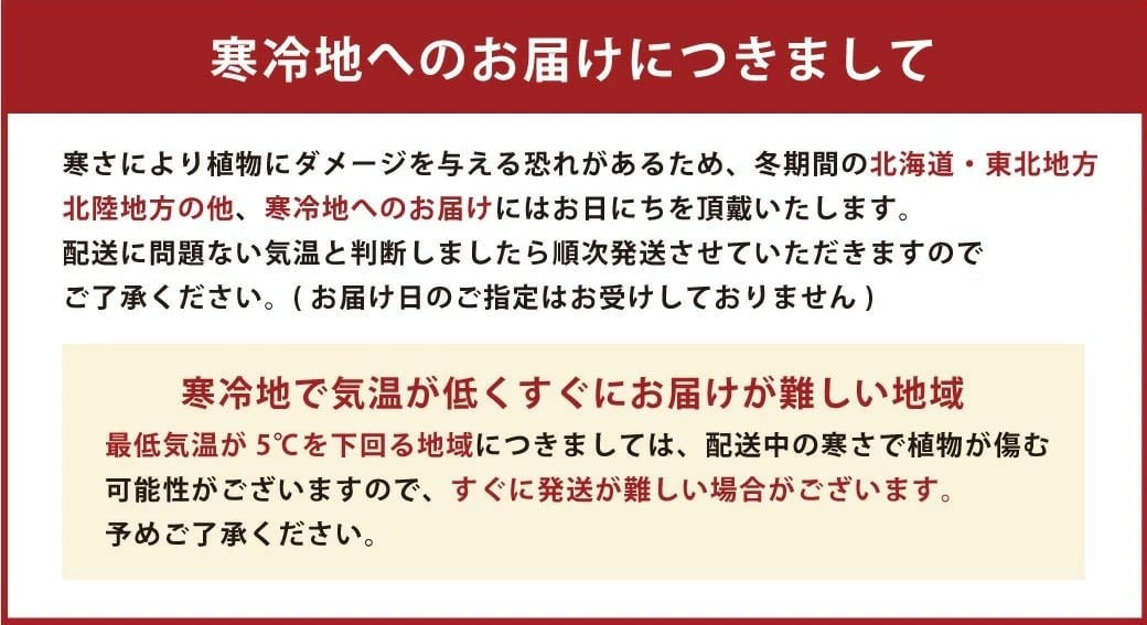 オーガスタ7号陶器スリム 白 鉢 インテリア 観葉植物 草花 樹木 ギフト