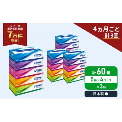 ふるさと納税 岩沼市 定期便 ティッシュ クリネックス ティシュー 5箱入×4P《計3回》[No.5704-1041] |  | 01