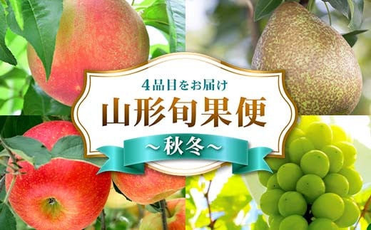 山形旬果便 ～秋冬～ FSY-2230