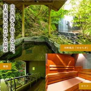 阿讃琴南平日ペア宿泊券(モデレートツインタイプ) 香川県 体験 チケット 利用券 【man221】【阿讃琴南】