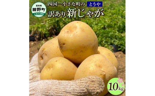 ★先行受付：2025年5月発送開始★大野台地で採れた 令和7年産新じゃがいも『とうや』10kg 訳あり品 10キロ イモ ジャガイモ 芋 いも ポテト 野菜 おいしい なめらか 旬 国産 お取り寄せ 送料無料