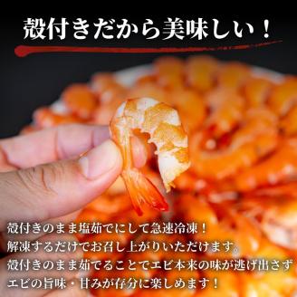 【200セット限定】 訳あり 有頭ボイルバナメイエビ 500g × 3 (約1.5kg) 有頭えび 加熱済 えび エビ 海老 バナメイエビ バナメイ 人気 冷凍 便利 魚介 海鮮 〔010-143〕