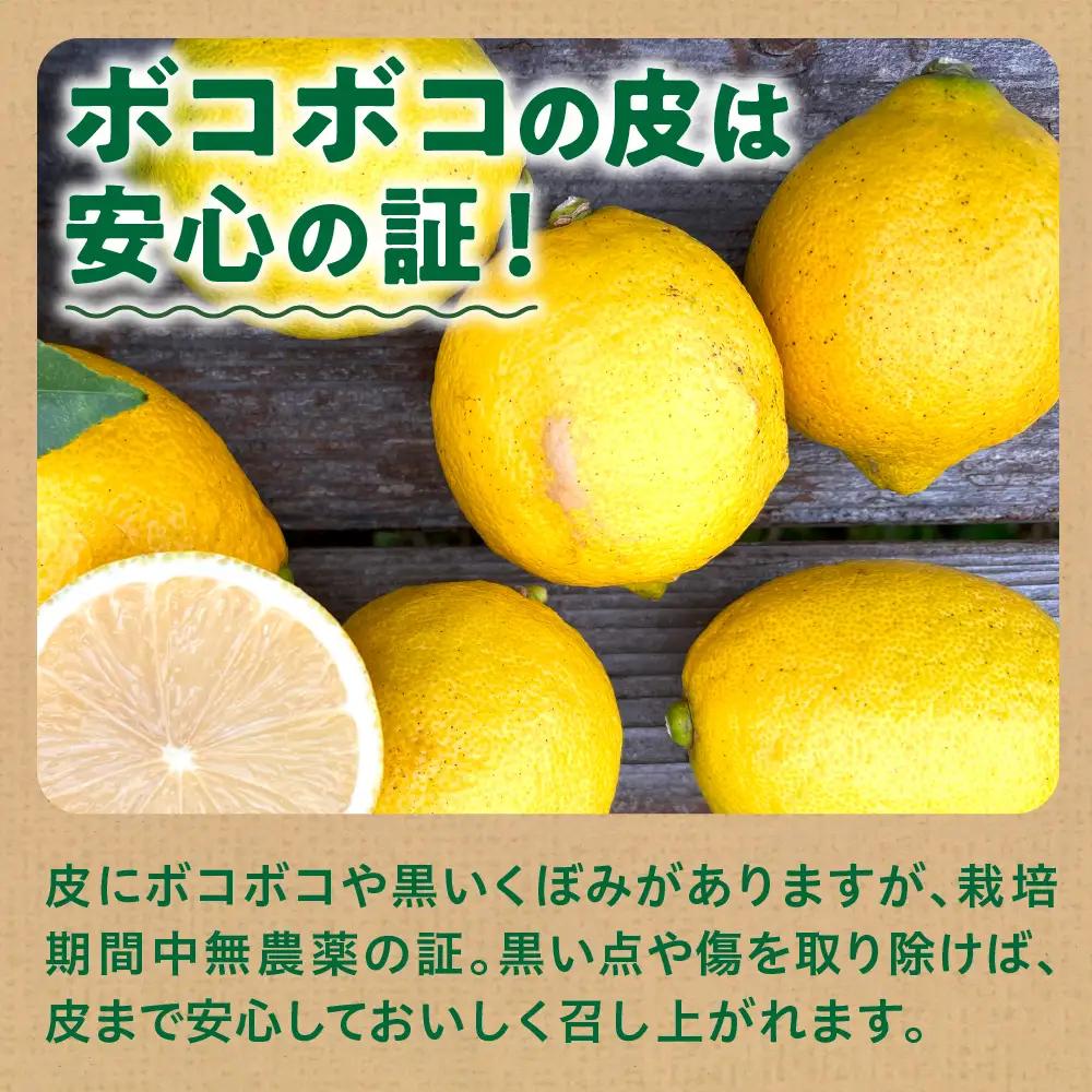 【先行受付】【2026年11月下旬～発送】ナニコノレモン 10kg ku149-003-26