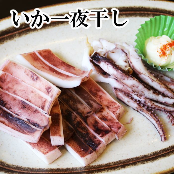 【ふるさと納税】いか一夜干し 選べる 6P 〜 10P イカ 干物 海鮮 北海道 根室市