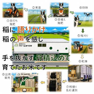 ふるさと納税 阿賀野市 【令和8年産新米】【3ヶ月定期便】阿賀野市産 コシヒカリ 「ファームホリコシ美田米」 5kg×3回 |  | 01