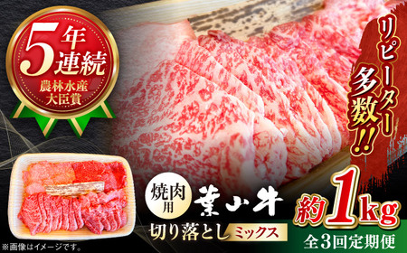 【全3回定期便】葉山牛1kg　焼肉用ミックス 牛肉（ロース、モモ、カルビ等 4種類 ) 食べ比べ[ASBD034]