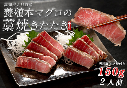 本マグロ 中トロ 藁焼き たたき150g 黒潮本まぐろ 本マグロ まぐろ マグロ 冷凍 田野屋銀象