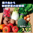 【ふるさと納税】【定期便】 種子島採れたて産地直送 3か月連続お届け 【 野菜 果物 7～10品目 + 鶏卵】 種子島 鹿児島 3回 お楽しみ 詰め合わせ 定期便 ふるさと納税 産地直送 フルーツ 卵 鹿児島県