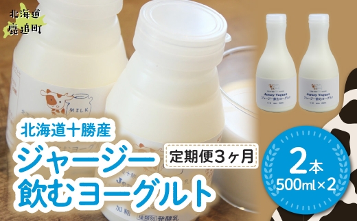 【定期3ヶ月】ジャージー飲むヨーグルト 500ml ×2 【ふるさと納税 人気 おすすめ ランキング ヨーグルト ジャージー牛乳 乳酸菌 安定剤不使用 乳化剤不使用 保存料不使用 濃厚 定期便 髙田牧場 北海道 十勝 鹿追町 送料無料】 SKM023