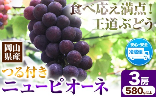 岡山県産ニューピオーネ 3房（580g以上） 先行受付 《9月中旬-10月下旬頃出荷》 【配送不可地域あり】