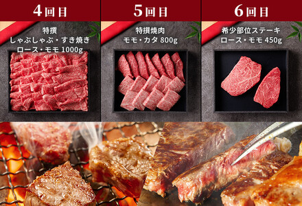 991.【和牛セレブ（鳥取和牛定期便：6回）】ゴールドクラス《検索用ワード:牛肉 すき焼き ステーキ しゃぶしゃぶ 焼き肉 焼肉》