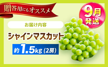 【9月発送】シャインマスカット 約1.5kg（2房）＜濱﨑農園＞[CGN005]
