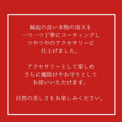 ふるさと納税 郡上市 岐阜県郡上市　本物の郡上南天を閉じ込めたピアスB |  | 02