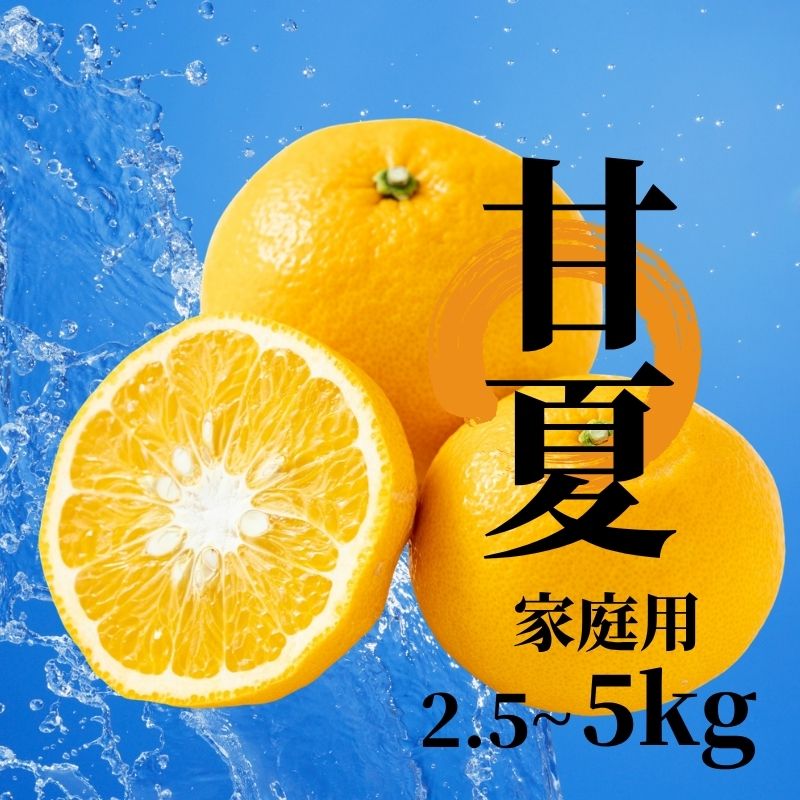【ふるさと納税】 【2027年2月下旬頃から順次発送】甘夏 家庭用 約2.5 / 5.0kg | 愛媛 愛媛県産みかん 蜜柑 ミカン mikan みかん あまなつ 柑橘 お取り寄せ グルメ 期間限定 数量限定 酸味 果物 旬 愛媛県 松山市