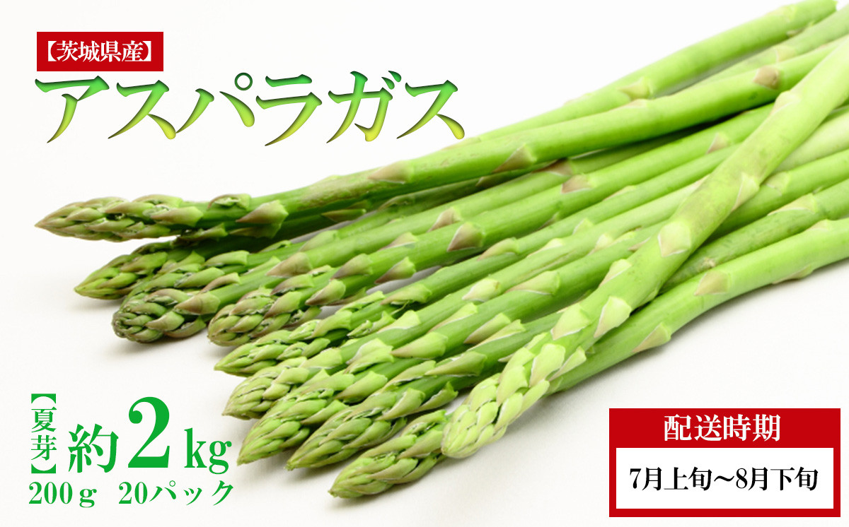 
アスパラガス【夏芽】約２ｋｇ（100ｇ×20袋）L~2Lサイズ【2024年7月上旬～8月下旬ごろ発送予定】【 アスパラ 朝採り 小分け 旬 茨城県産 下妻市 野菜 炒め物 ジューシー 】
