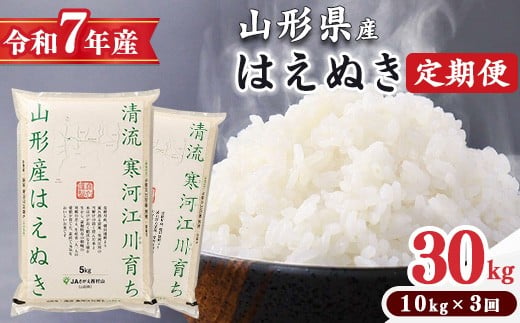 
                  【令和7年産 定期便（5kg×2袋×3回）】《選べる配送時期》はえぬき合計30kg（10kg×3回）2025年産！お米 定期便！清流寒河江川育ち 山形産はえぬき 山形県産 精米 5キロ 10キロ 30キロ 3ヶ月 3ヵ月 3ケ月 3カ月 3か月　098-C-JA012（令和7年産）
                