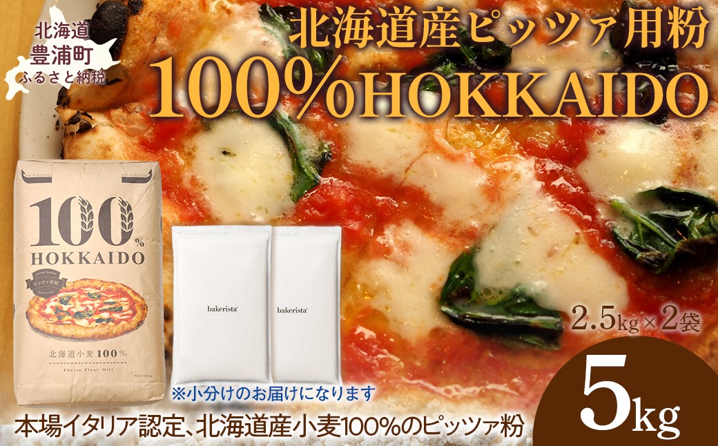 100% HOKKAIDO ピッツァ用粉 5kg TYUAI023