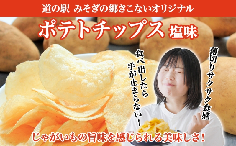 定期便 全12 回北海道 オリジナル ポテトチップス 60g 6袋 塩味 道の駅 オリジナル パッケージ ポテチ しお じゃがいも ジャガイモ お菓子 スナック おやつ おつまみ あっさり ポテトチッ