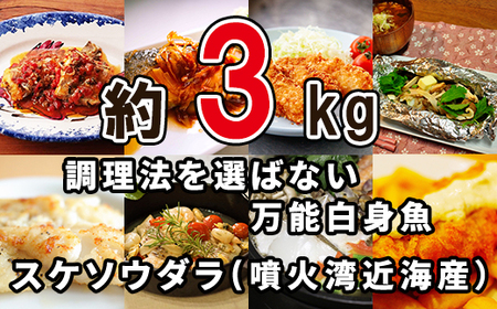 楽しみ方は10通り！メニューに困らない万能白身魚 北海道産 すけそうだら 3kg 魚 冷凍 スケソウダラ スケトウダラ