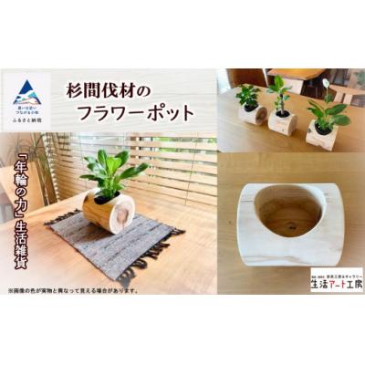 ふるさと納税 小松市 「年輪の力」生活雑貨 杉間伐材のフラワーポット