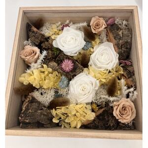 プリザーブドフラワー白【1662935】