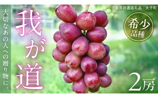 我が道 ２房【2025年9月上旬発送開始】(茨城県共通返礼品：大子町) シャインマスカット ウインク 葡萄 ブドウ ぶどう 果物 フルーツ 希少 新品種