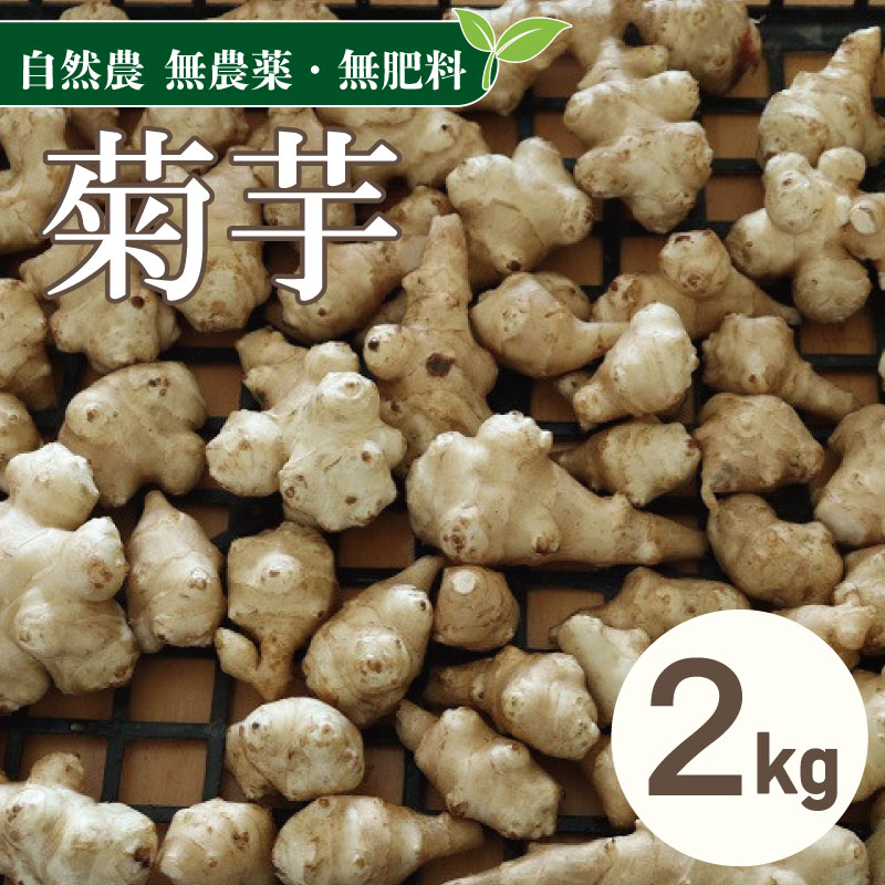 【ふるさと納税】 菊芋 2kg 自然農 芋 いも イモ 野菜 やさい ヤサイ こだわり お取り寄せ グルメ 送料無料 徳島県 吉野川市