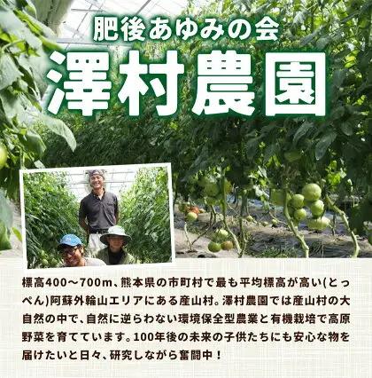 有機JAS トマト 4kg 澤村農園 トマト