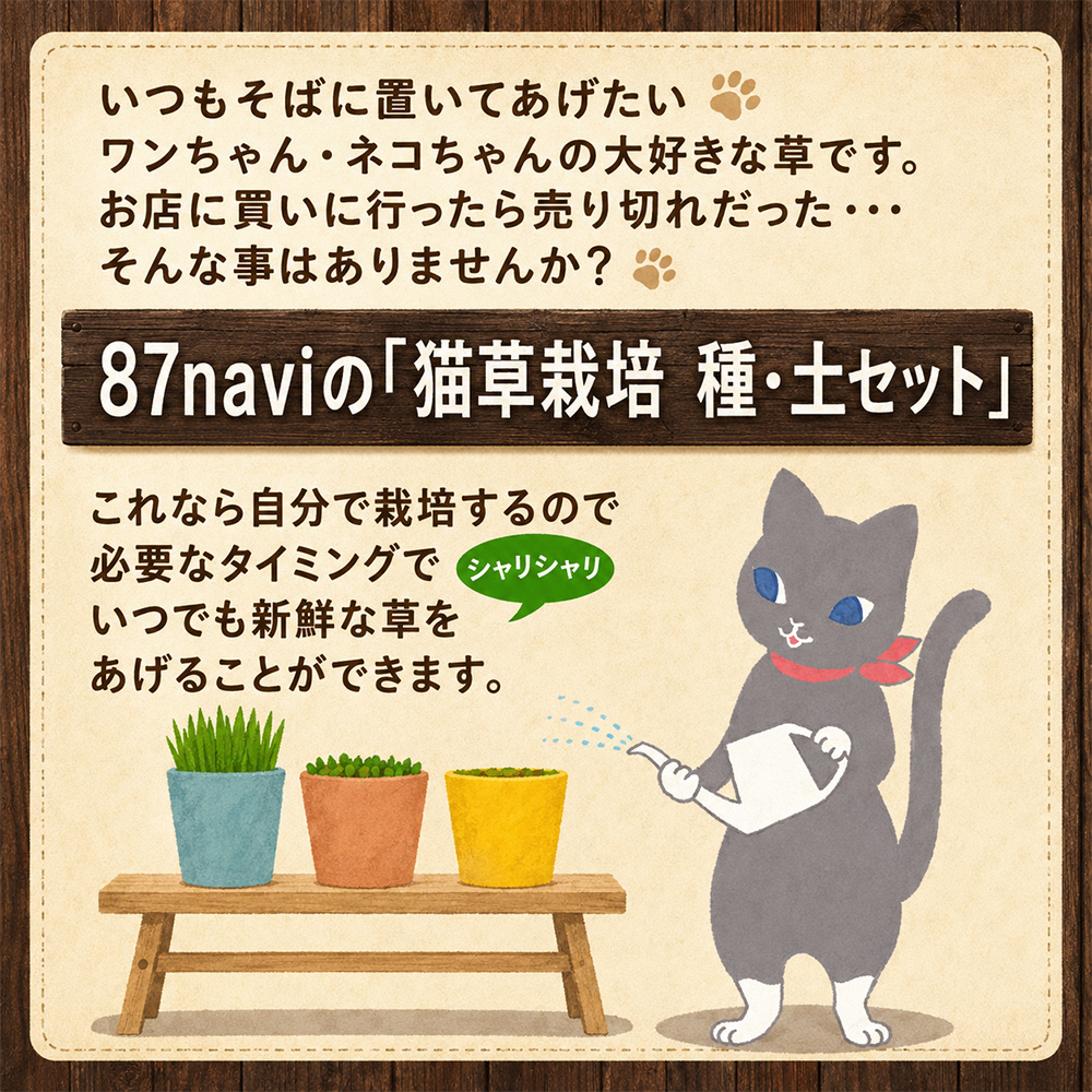 [猫草専用] 栽培用 良質な種とふわふわ土のセット｜猫草 種 土 セット 猫草 栽培セット 猫草の種 猫草専用土 セット 猫草 初心者セット [1206]