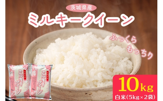 【令和7年産】ふっくらもっちり 茨城県産 ミルキークイーン 白米 10kg (5kg×2袋)｜お米 おこめ 精米 直送 稲敷 茨城 [2253]
