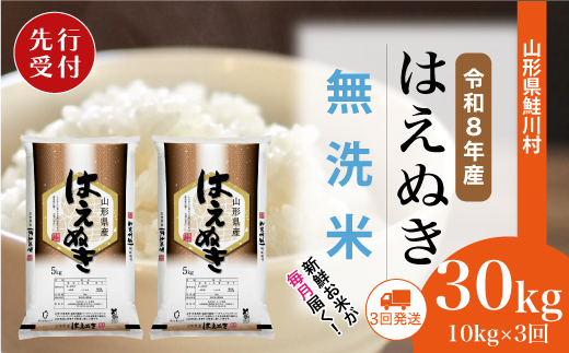 ＜令和8年産米先行受付＞ 山形県産 はえぬき 【無洗米】30kg定期便 (10kg×3回)　配送時期指定できます！