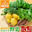 【ふるさと納税】＜定期便・全2回(6月・11月)＞あくね旬の野菜おまかせセット(5〜8品目)小松菜、レタス、青梗菜の3品目とその他野菜2品目以上を詰め合わせて全2回お届け！【合同会社グッドフィールド】a-24-23-z