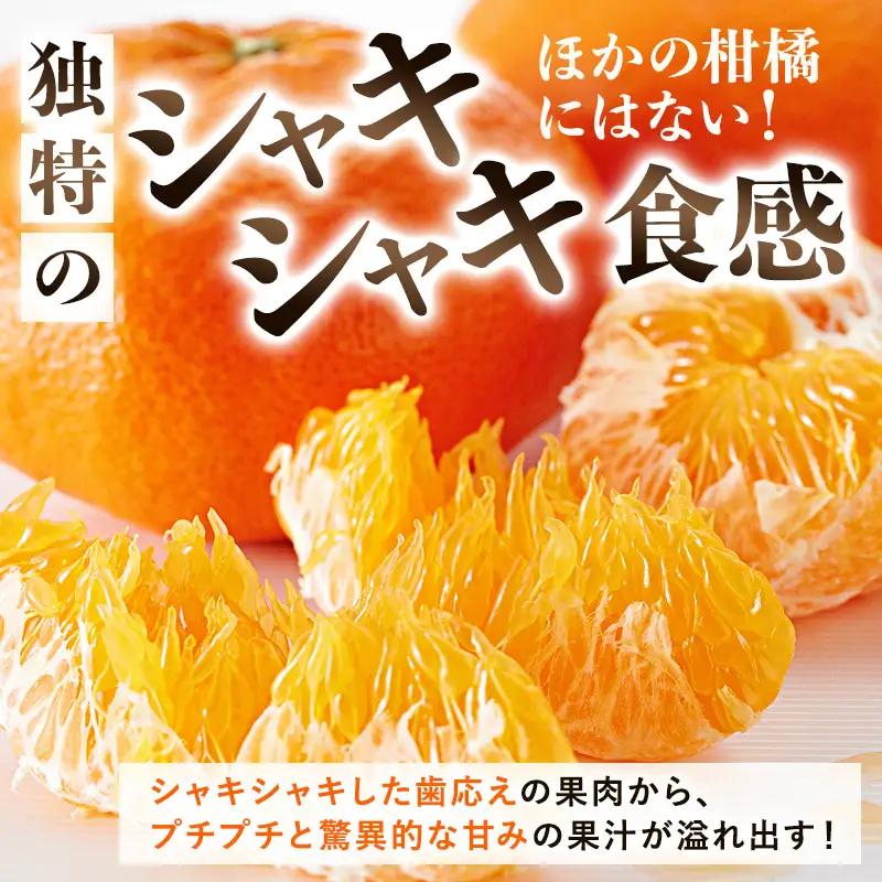 【先行予約】甘平（5kg）