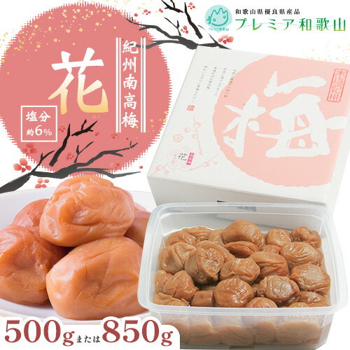 【ふるさと納税】梅干し 紀州南高梅 花 塩分 約6% 500g 850g 1パック 《60日以内に出荷予定(土日祝除く)》 株式会社やまだ 和歌山県 日高川町 梅 塩 梅干 うめぼし 米 おかず 国産 送料無料